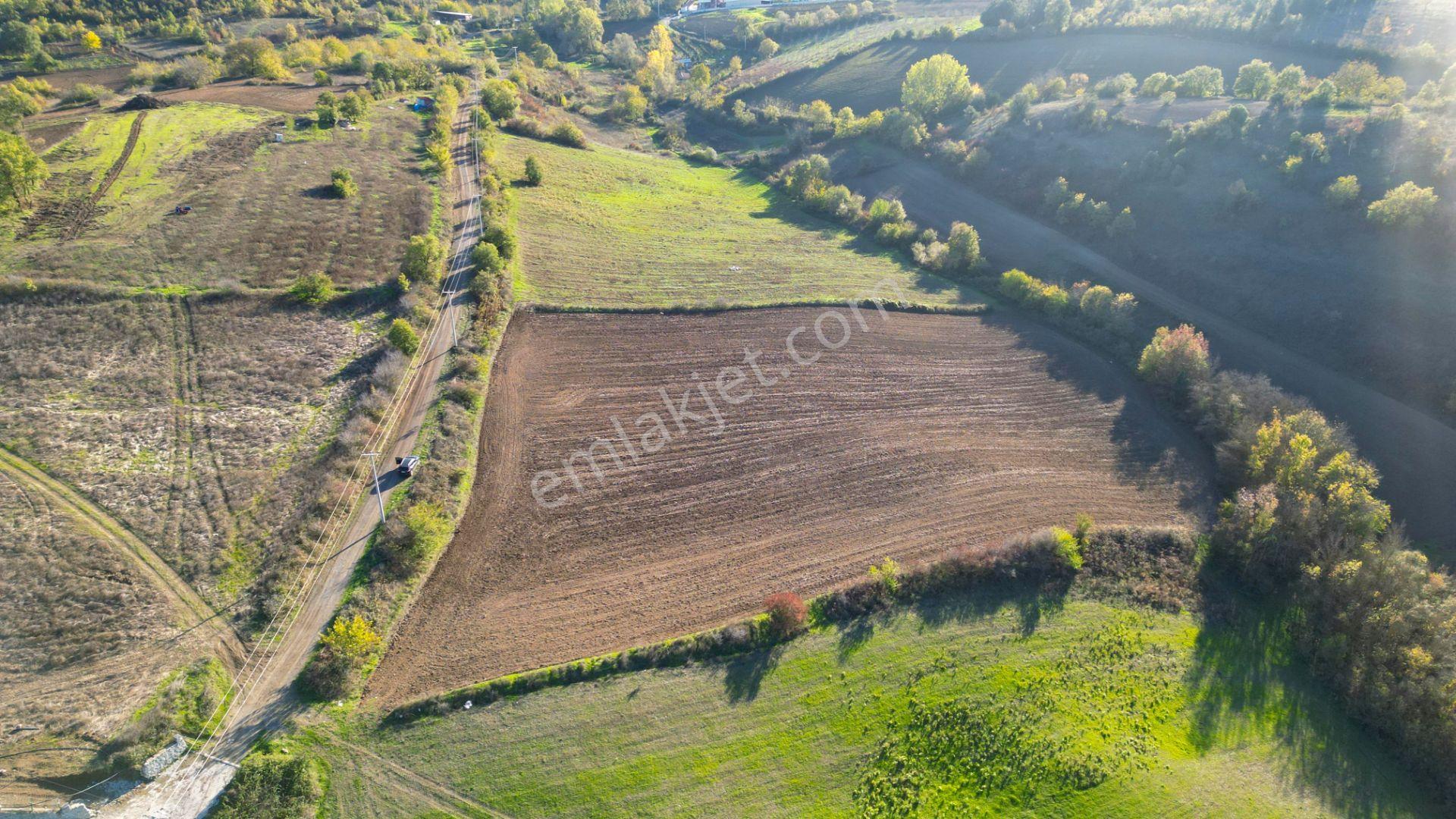 Uzmanlar'dan Karamürsel Yalakdere 13.286 M2 Satılık Tarla - Görsel 8