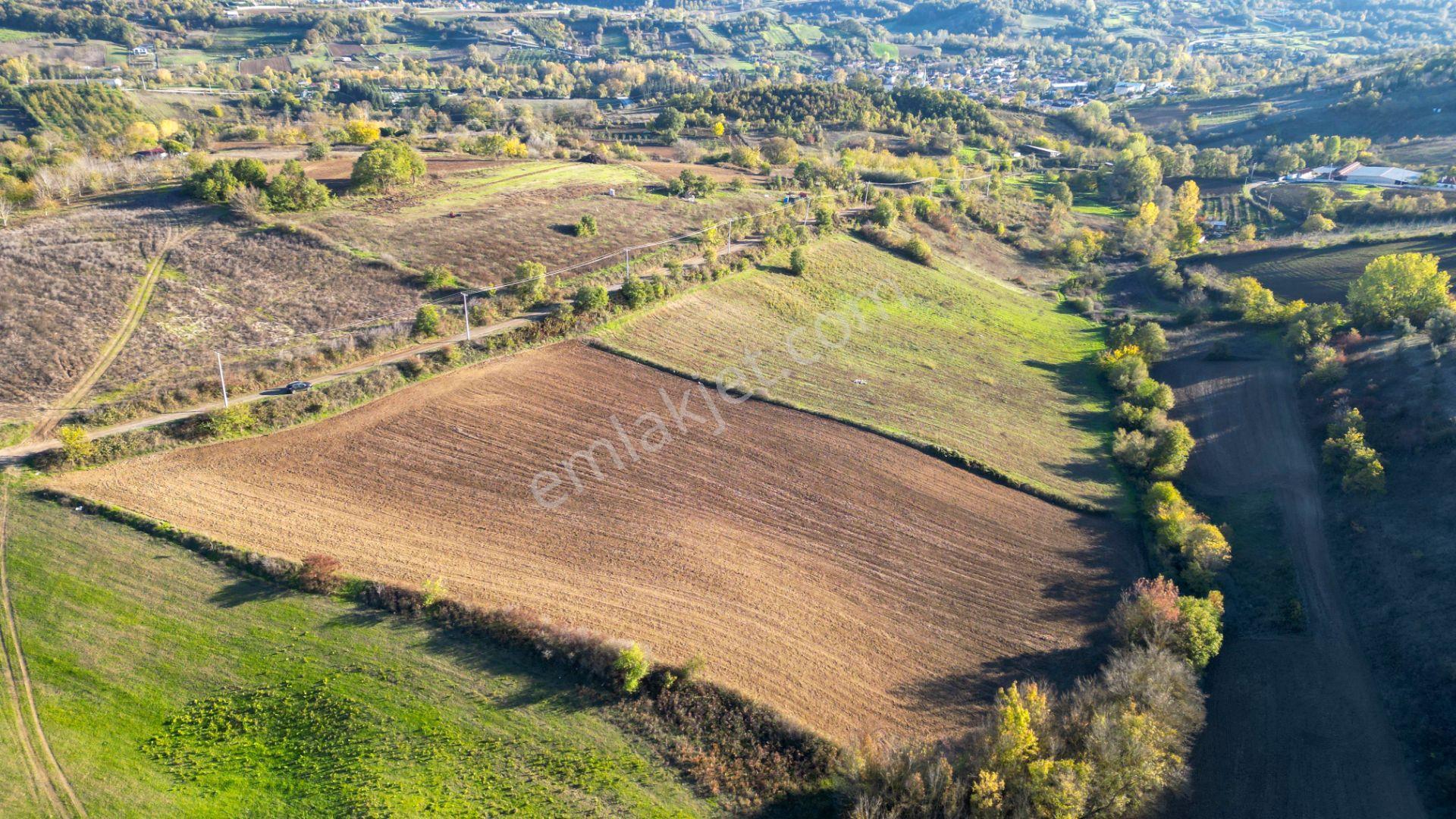 Uzmanlar'dan Karamürsel Yalakdere 13.286 M2 Satılık Tarla - Görsel 4