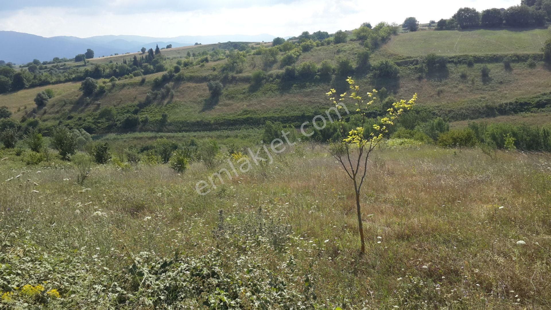 Karamürsel Yalakdere Satılık Tarla Satılık Tarla 13286 M2 Kocaeli Karamürsel Yalakdere Uzmanlar'dan