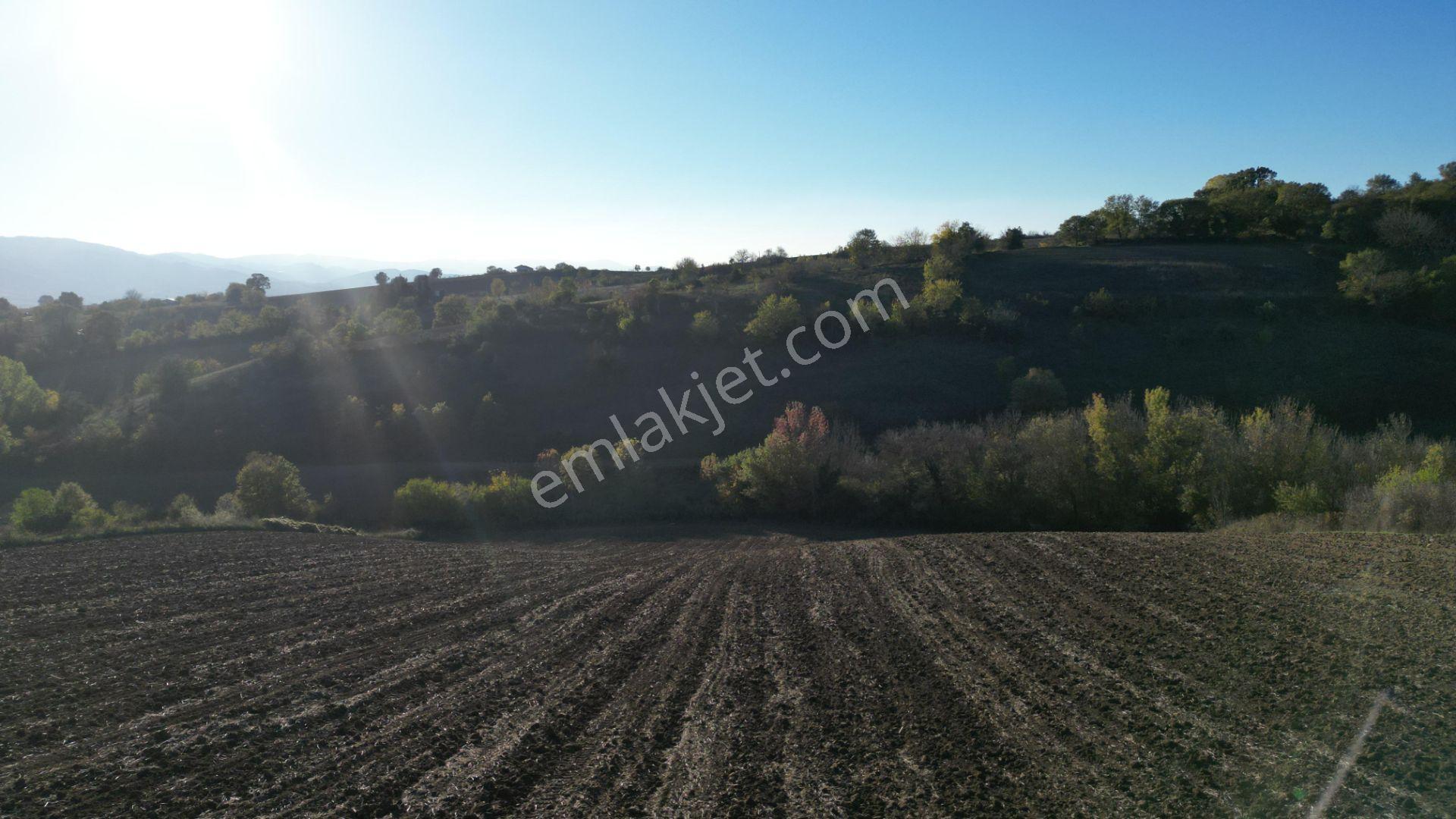 Uzmanlar'dan Karamürsel Yalakdere 13.286 M2 Satılık Tarla - Görsel 9