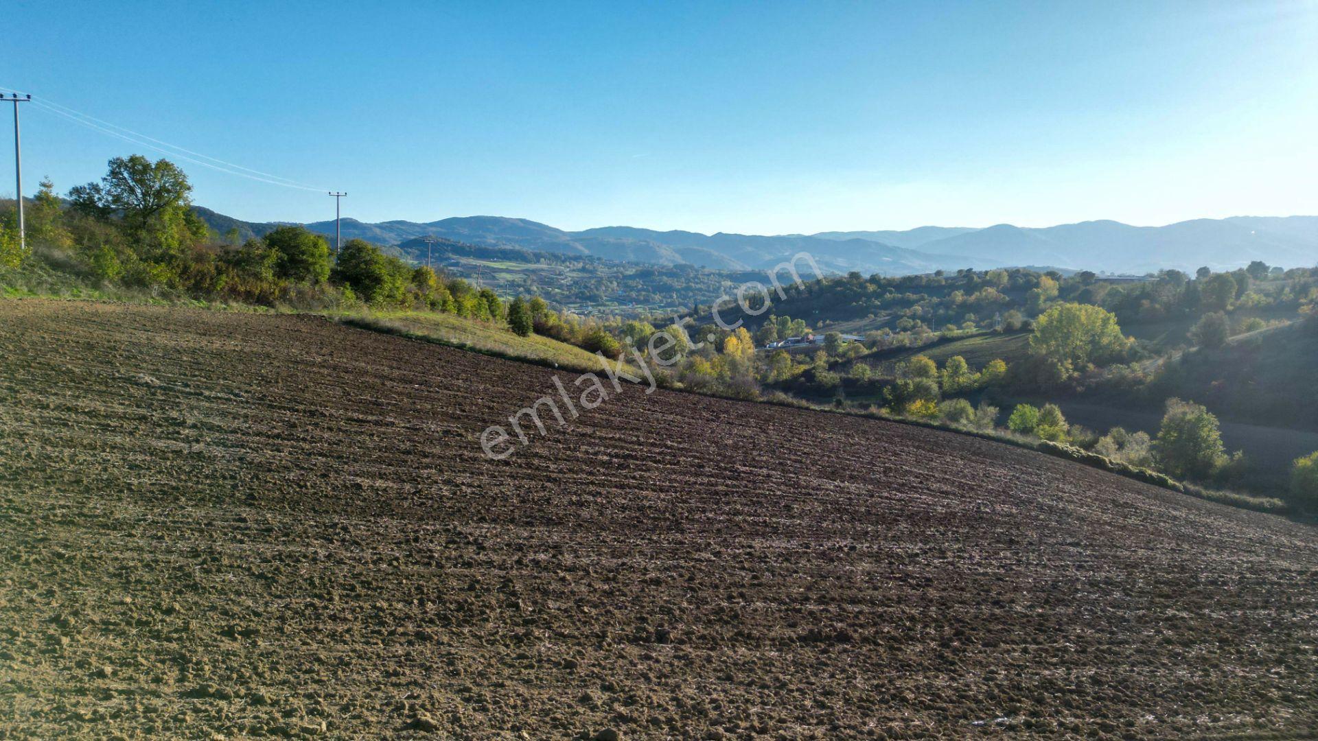 Uzmanlar'dan Karamürsel Yalakdere 13.286 M2 Satılık Tarla - Görsel 7