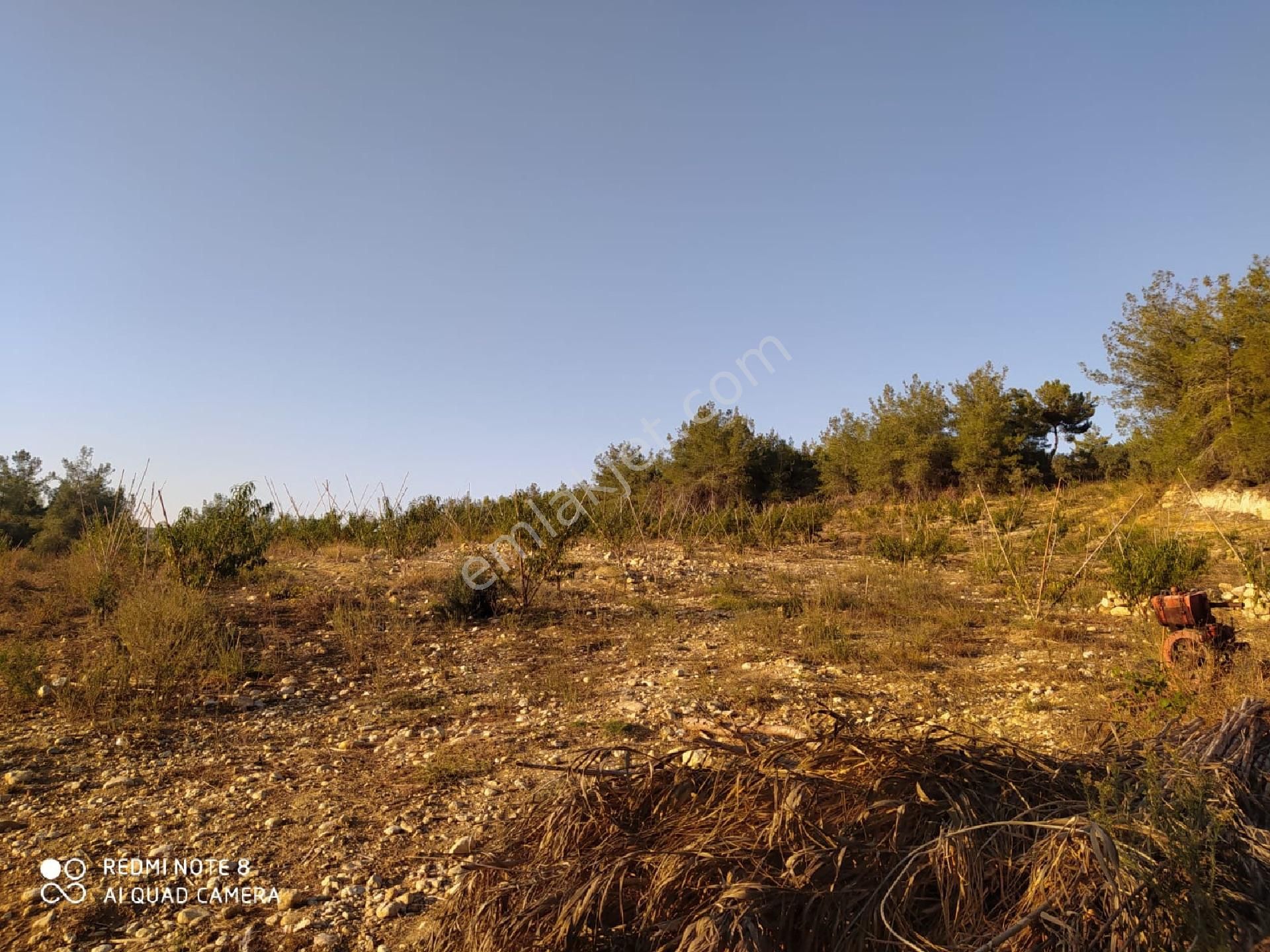 Emlakcidan Mersin Tarsus Eskisehir Mahallesi Satilik Tarla 1 400 000 Tl 9276174