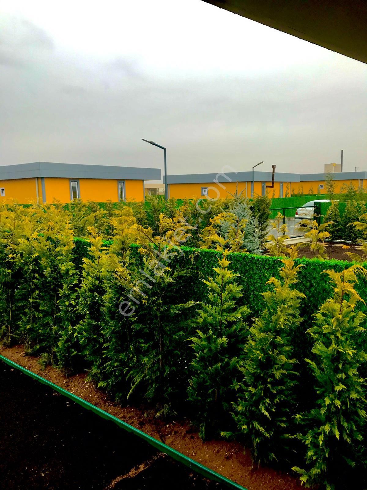 Emlakçıdan Ankara Sincan Gazi Mahallesi Satılık Bahçe 149.000 TL 9284716