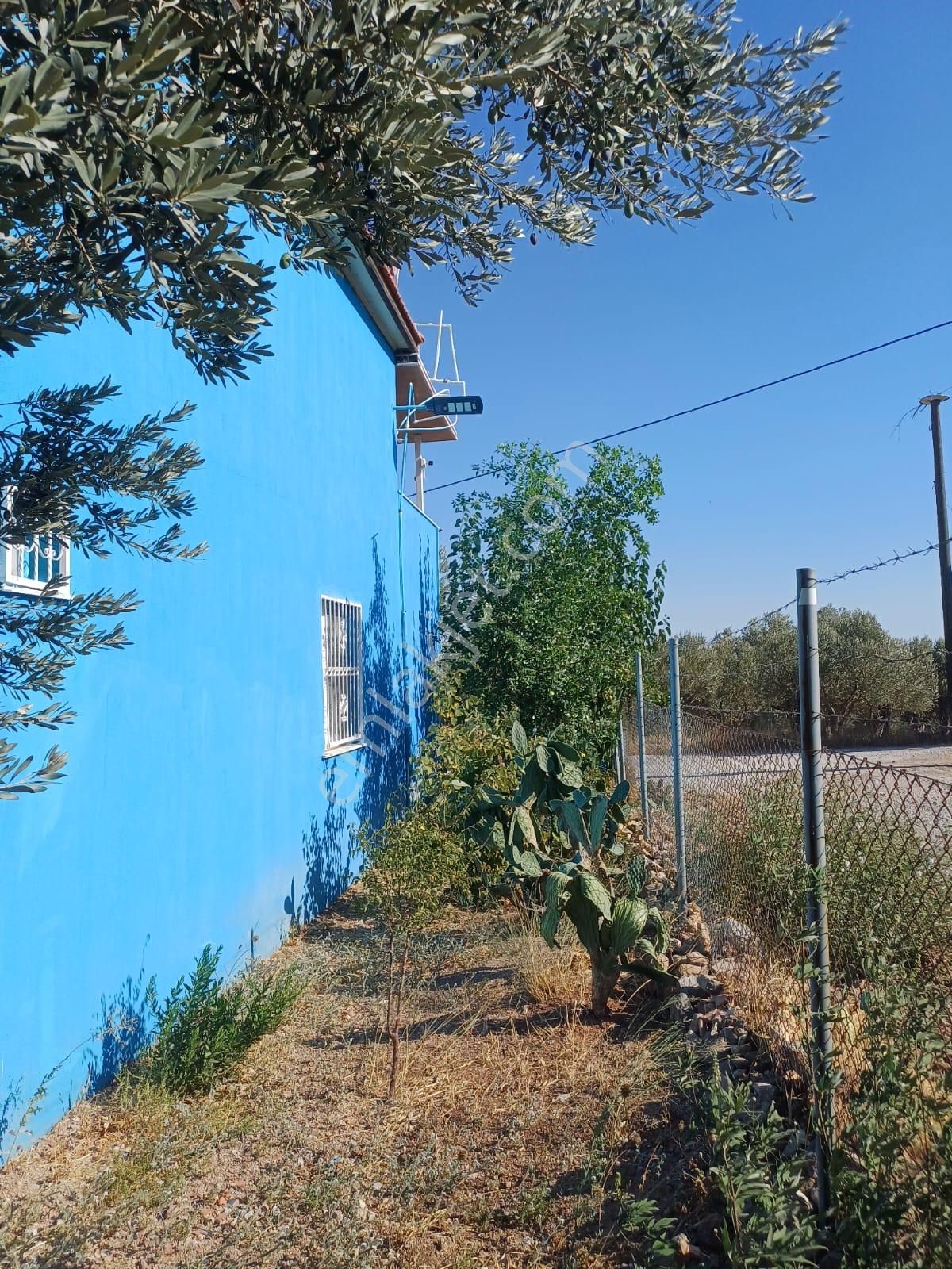 Acil Bağarasında Satılık Zeytinli Bahçeli Villa 4dönüm 14.500.000 (teklife Açıktır) - Görsel 10