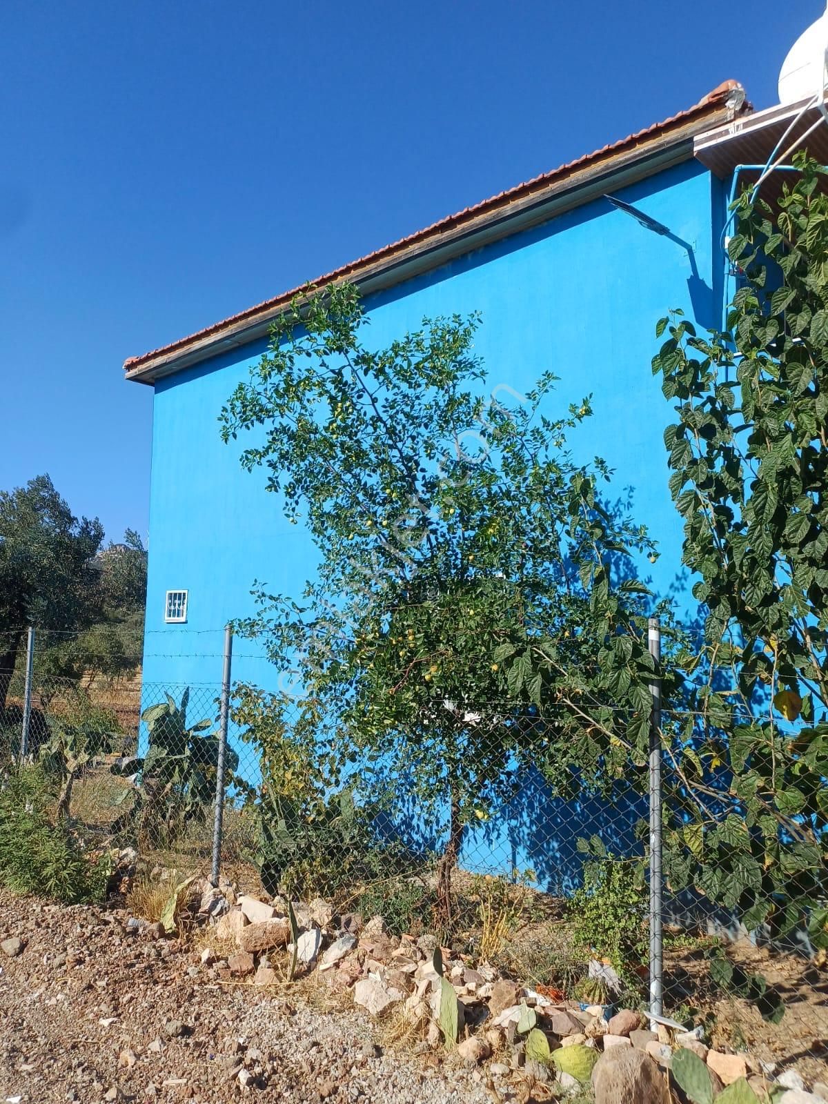 Acil Bağarasında Satılık Zeytinli Bahçeli Villa 4dönüm 14.500.000 (teklife Açıktır) - Görsel 23