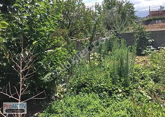 Emlakçıdan Kayseri Melikgazi Kazımkarabekir Mahallesi 2+1 Satılık