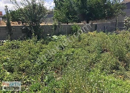 Emlakçıdan Kayseri Melikgazi Kazımkarabekir Mahallesi 2+1 Satılık