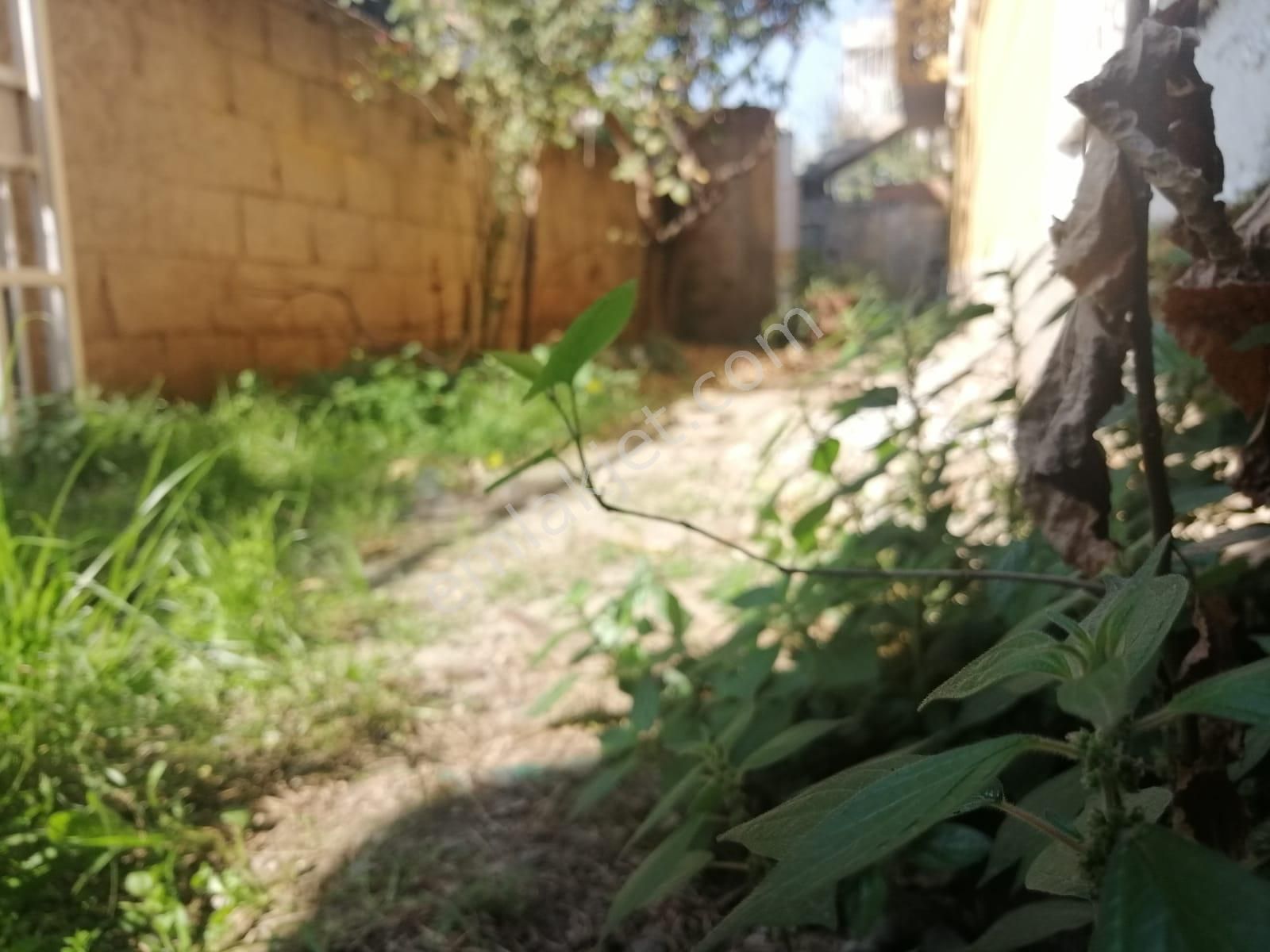 Emlakçıdan Adana Seyhan Mithatpaşa Mahallesi 2+1 Kiralık Daire 800 TL