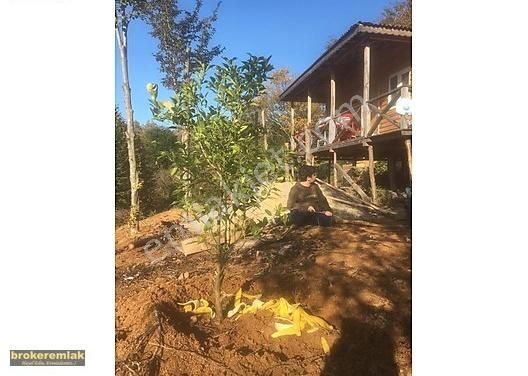 Sile Sogullu Mahallesi Satilik Mustakil Ev Emlakjet