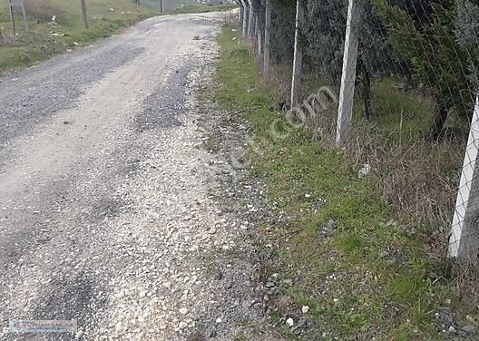Bayhan Dan Acil Satılık 600 M2 Arsa Ful Göl Manzaralı - Görsel 15