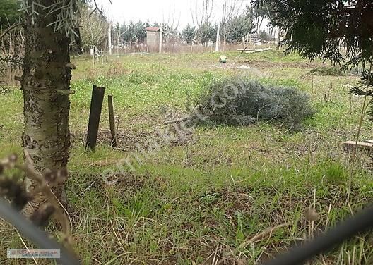 Bayhan Dan Acil Satılık 600 M2 Arsa Ful Göl Manzaralı - Görsel 6