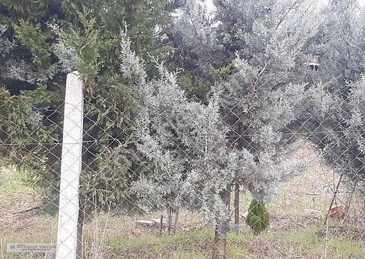 Bayhan Dan Acil Satılık 600 M2 Arsa Ful Göl Manzaralı - Görsel 5