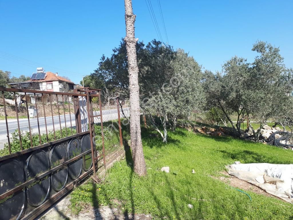 Emlakçıdan İzmir Menderes Çile Mahallesi Satılık Bahçe 1.500.000 TL