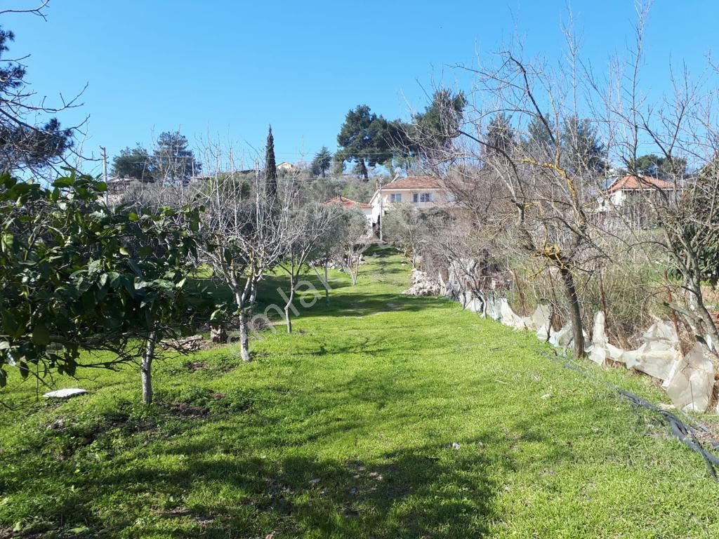 Emlakçıdan İzmir Menderes Çile Mahallesi Satılık Bahçe 1.500.000 TL