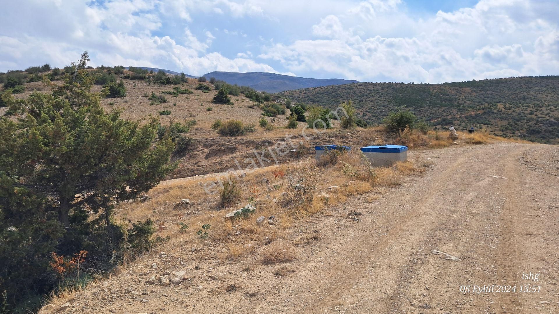 Dere Salarlı Yaylasında Müstakil Nitelikli-cazip Arazi - Görsel 5