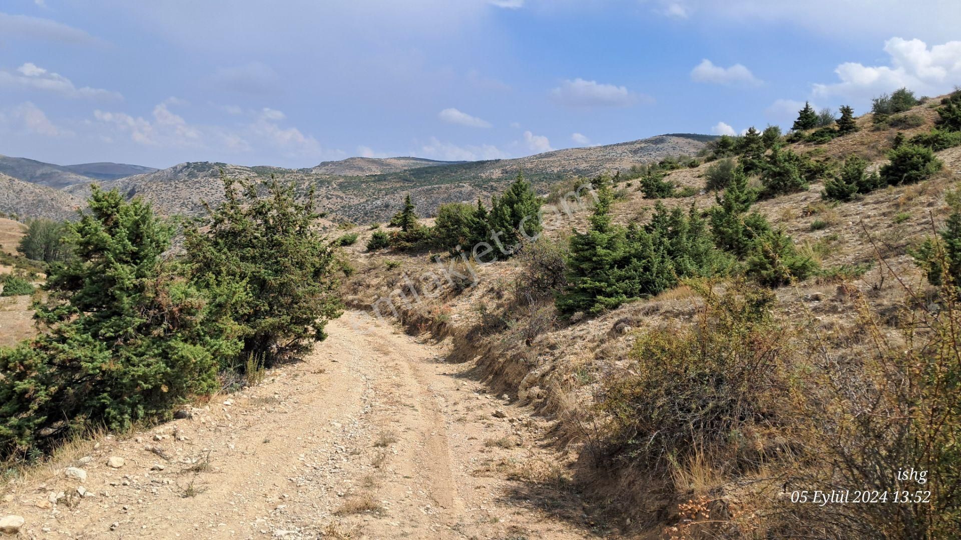 Dere Salarlı Yaylasında Müstakil Nitelikli-cazip Arazi - Görsel 8