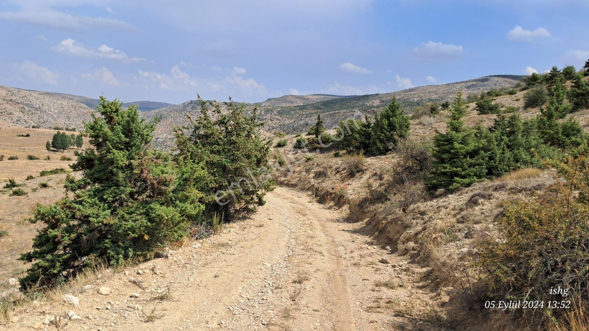 Dere Salarlı Yaylasında Müstakil Nitelikli-cazip Arazi - Görsel 9