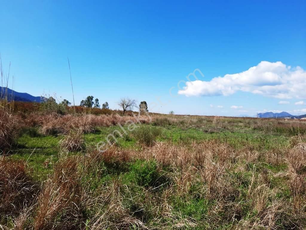 Muğla Ortaca Satılık Tarla İlanları ve Fiyatları