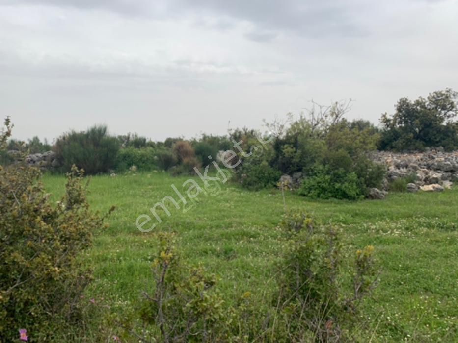 Hüseyinlerde Satılık Yatırımlık Arazi - Görsel 2