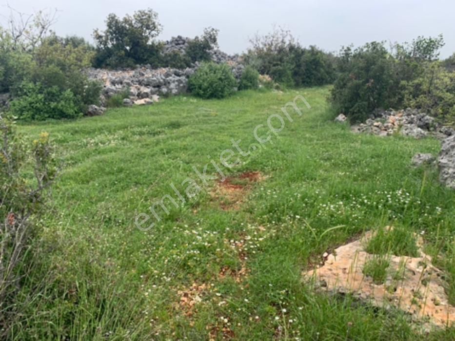 Hüseyinlerde Satılık Yatırımlık Arazi - Görsel 5