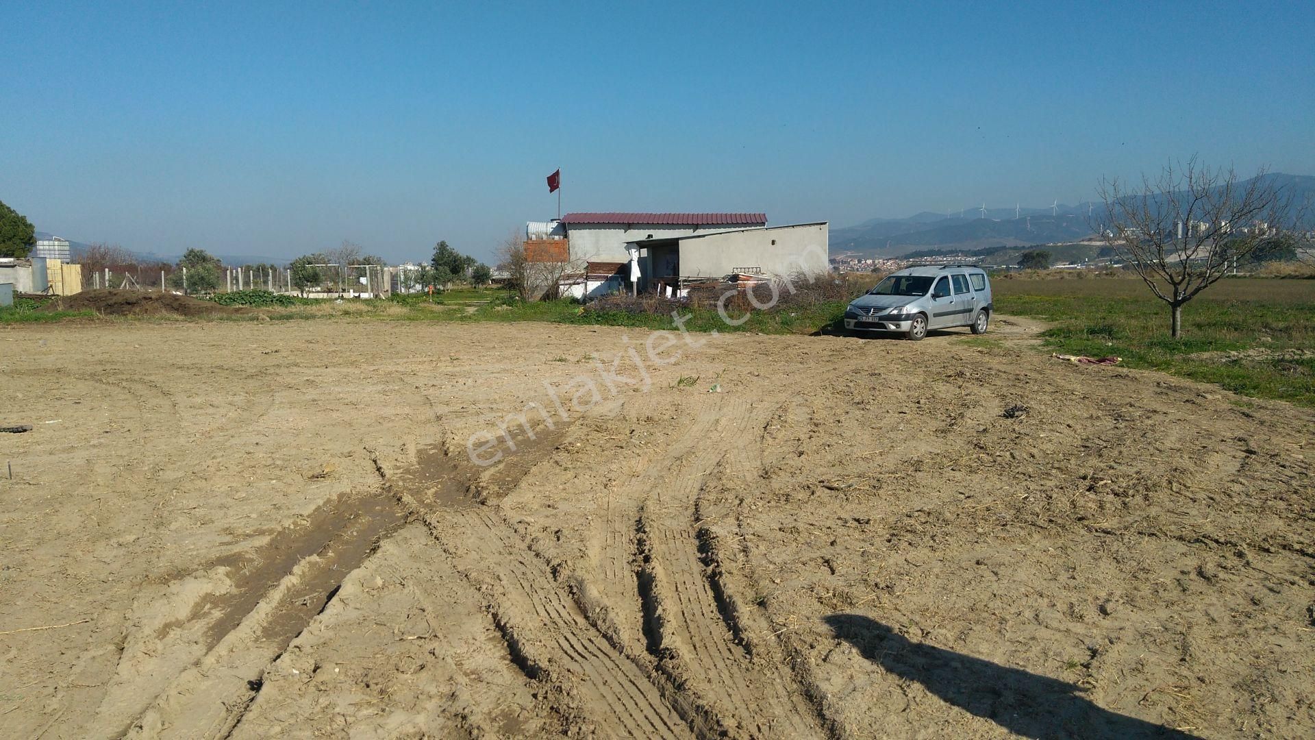 Kiralık Tarla Bahçe 2.000 M2 Suyu Yolu Var