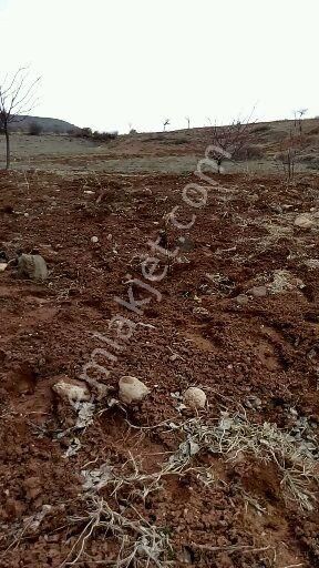 sahibinden satilik bahce malatya sahibinden satilik bahce malatya