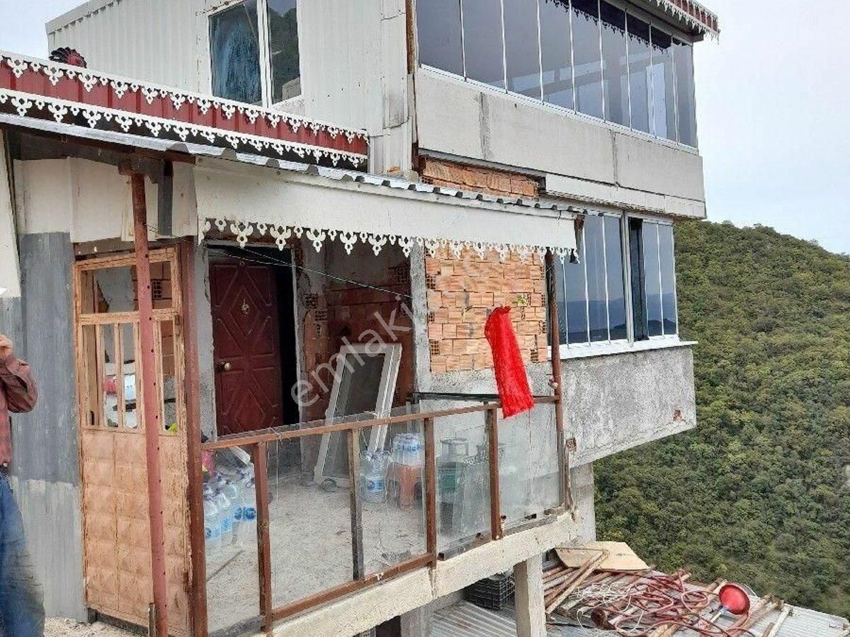 gel dedim benimle gelmedin balıklara konulabilecek isimler