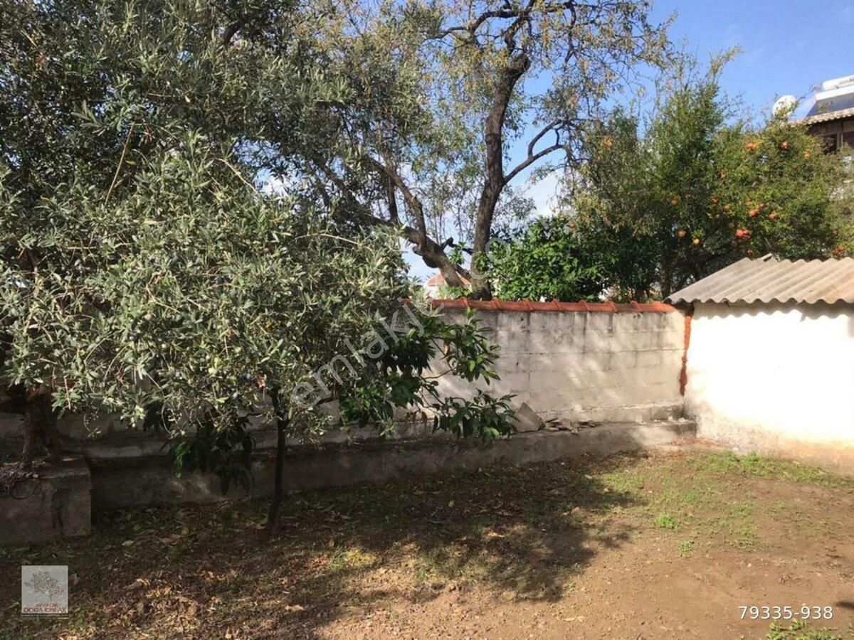 Emlakçıdan Balıkesir Ayvalık Mithatpaşa Mahallesi 3+1 Kiralık Müstakil