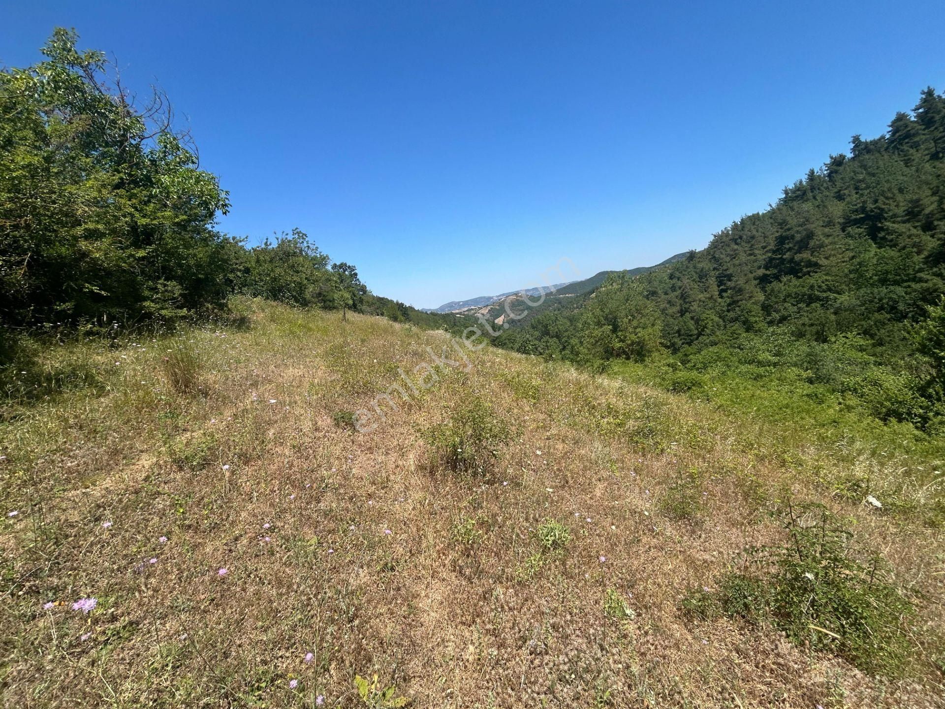 Uzmanlar'dan Satılık Tarla 4142 M2 Kocaeli Karamürsel Çamdibi Ky