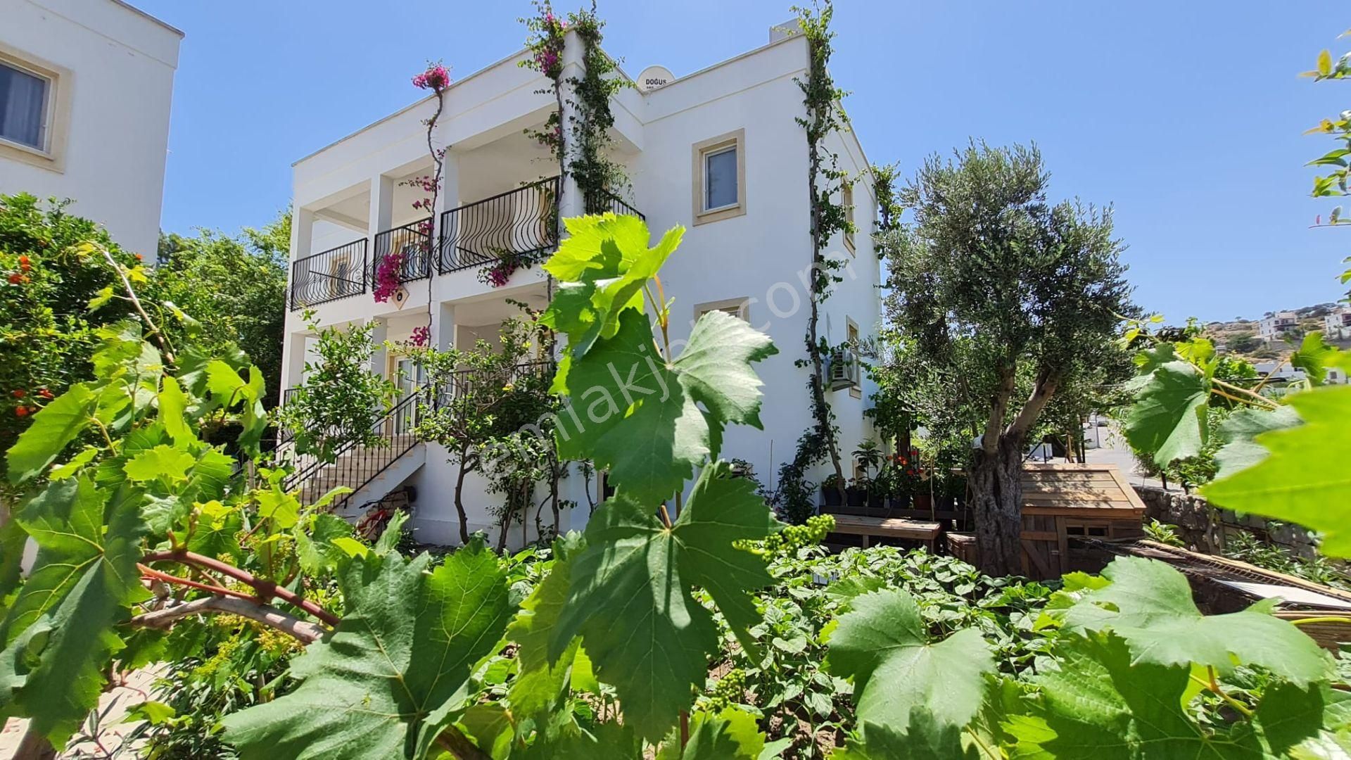 Emlakçıdan Muğla Bodrum Gündoğan Mahallesi 1 Oda Kiralık Daire 15.000