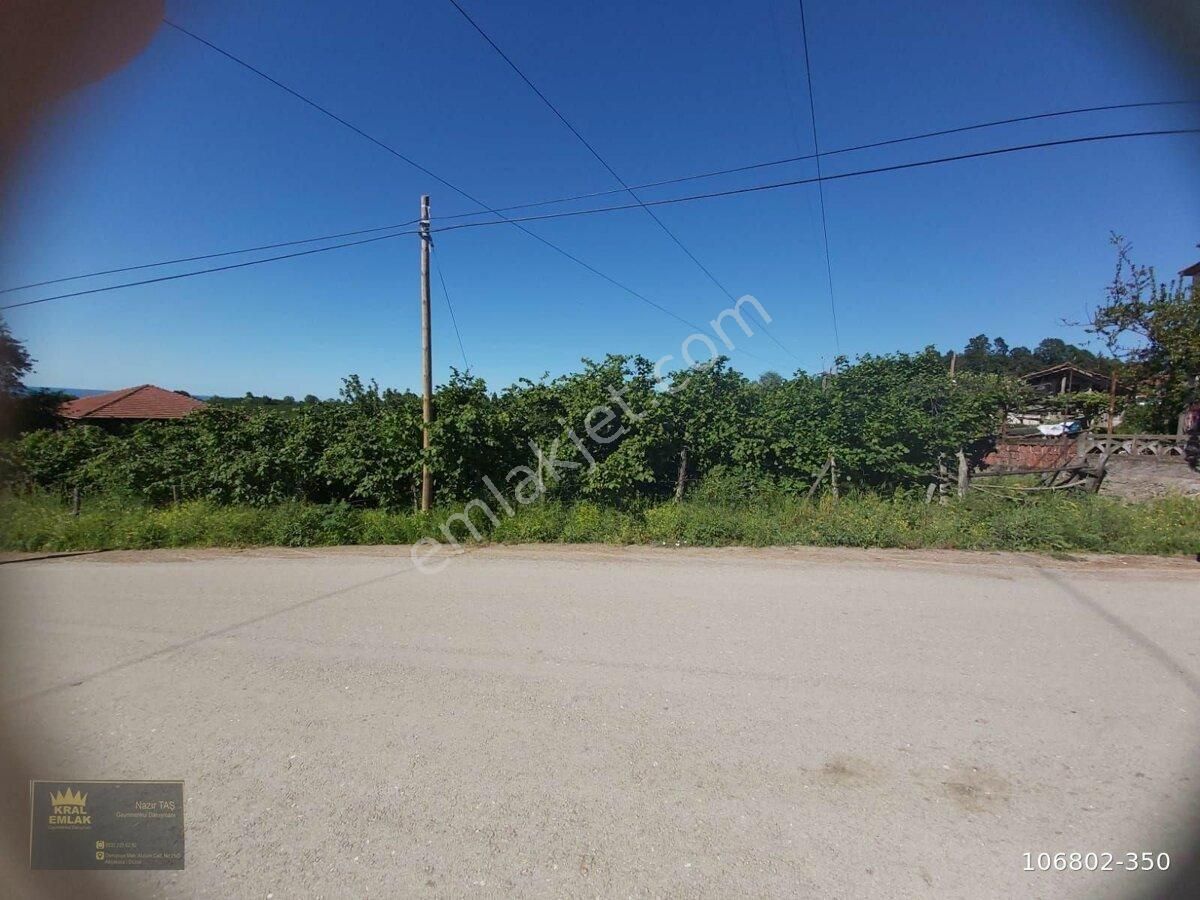Emlakçıdan Düzce Akçakoca Akkaya Köyü Satılık Bahçe 320.000 TL 9589684