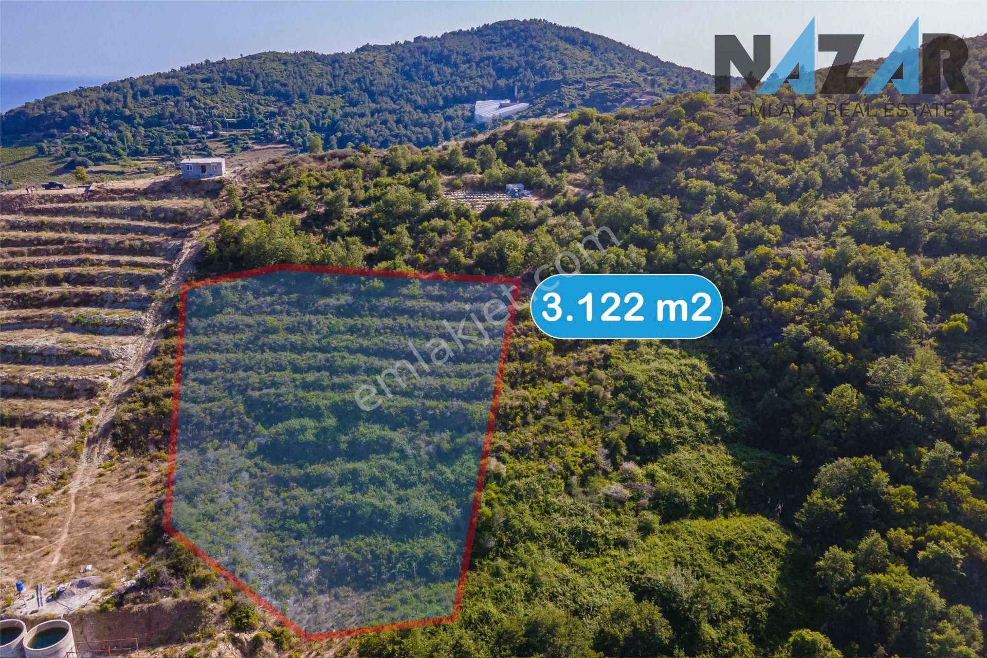 Alanya İsbatlı'da Satılık Tarla - Görsel 4