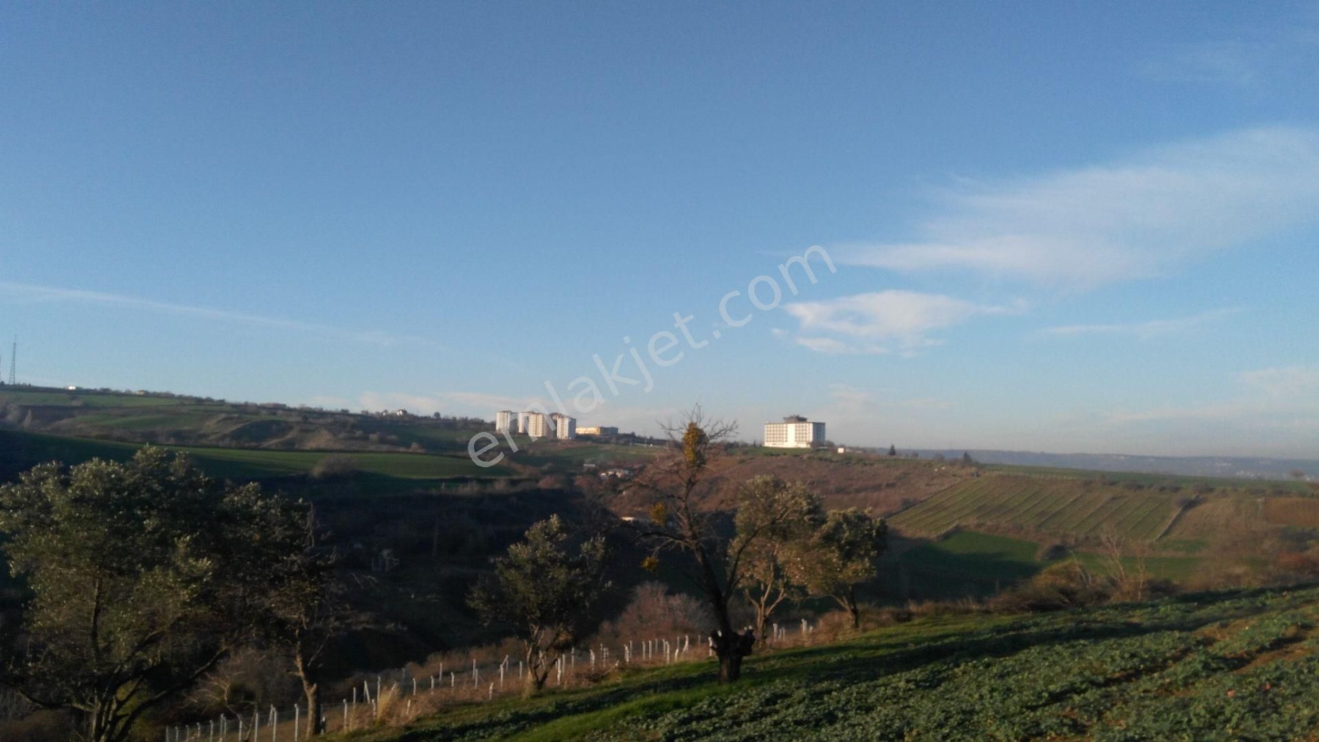 Tekirdağ Süleymanpaşa Barbarosta Ticari İmarlı 350 M2 Arsa - Görsel 17