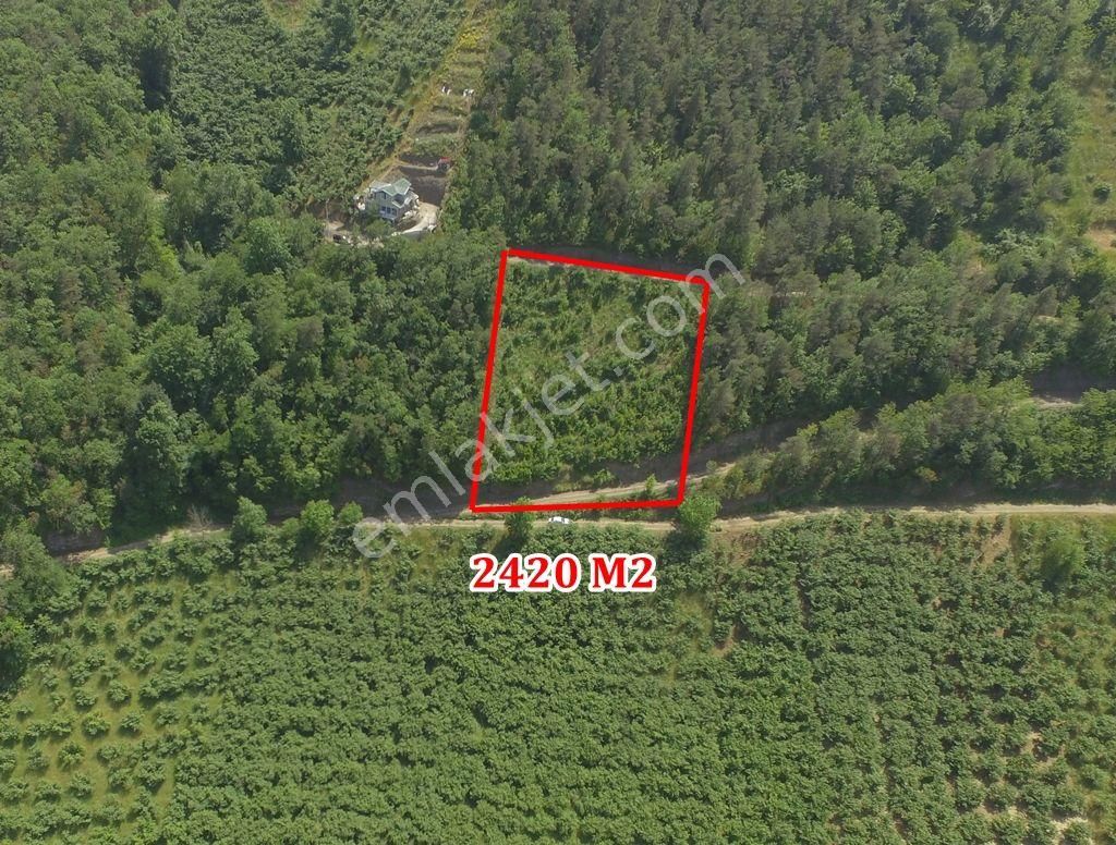 Akçaabat Zaferli Satılık Tarla Satılık 2420 M2 Arsa Akçaabat Zaferlide Deha Emlaktan