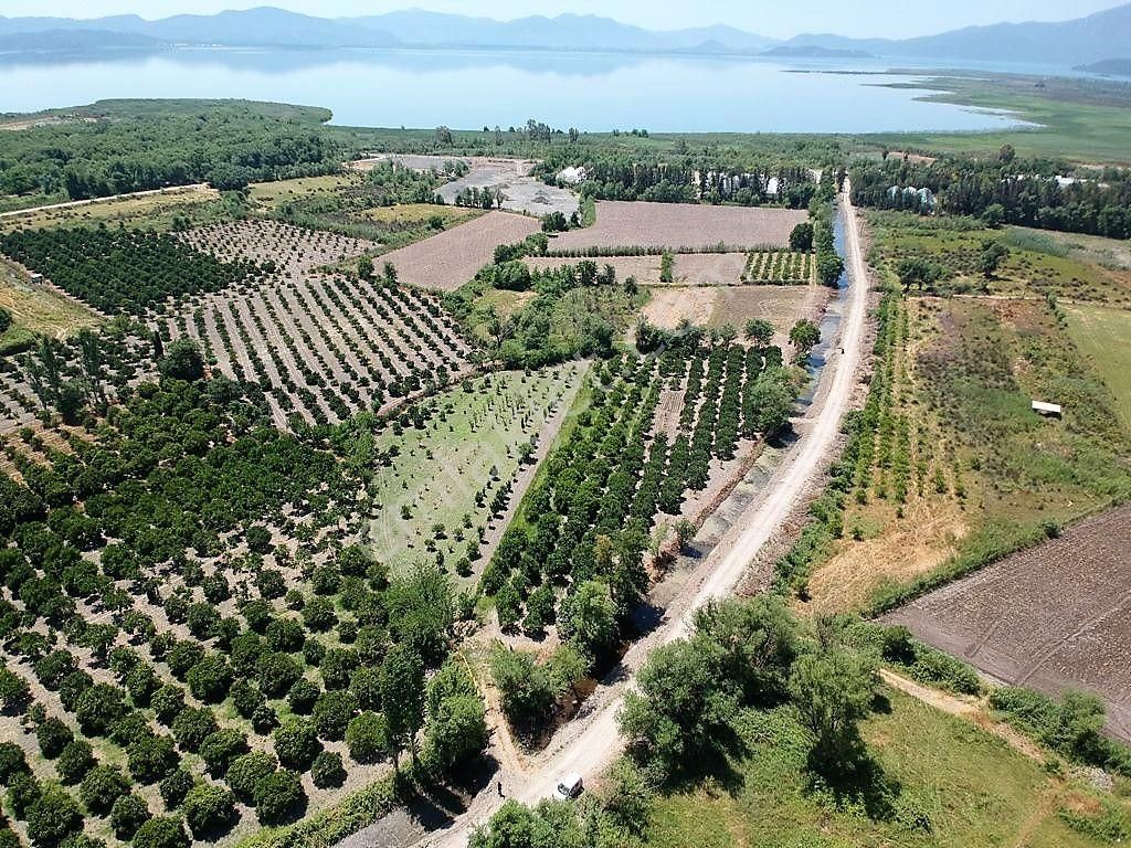 Köyceğiz Toparlar Satılık Tarla Köyceğizde Göle Yakın 2 650m2 Müstakil Tapulu Bahçe Satılık