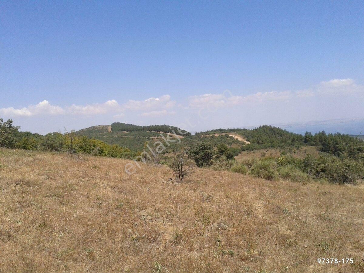 Tekirdağ Süleymanpaşa Yeniköy'de Eşsiz Manzara Arayanlara - Görsel 9