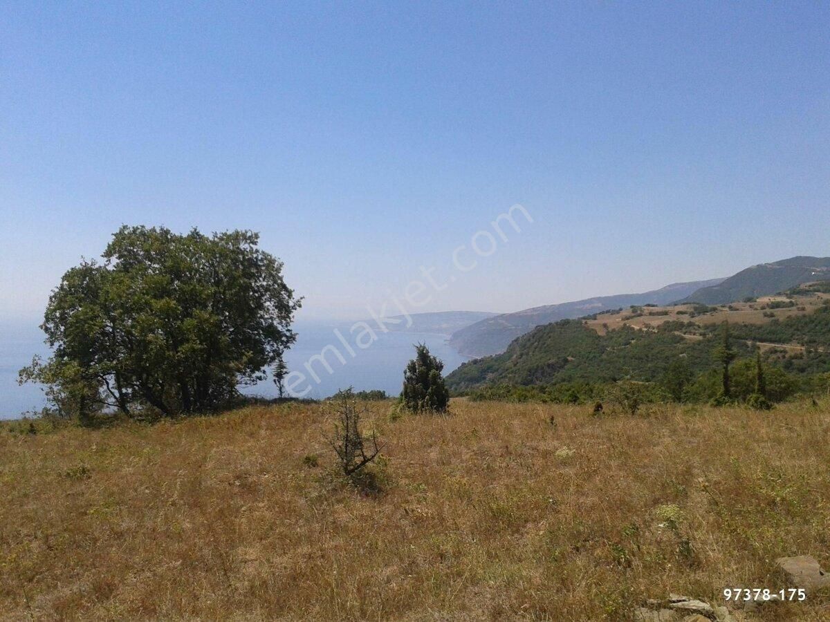 Tekirdağ Süleymanpaşa Yeniköy'de Eşsiz Manzara Arayanlara - Görsel 11