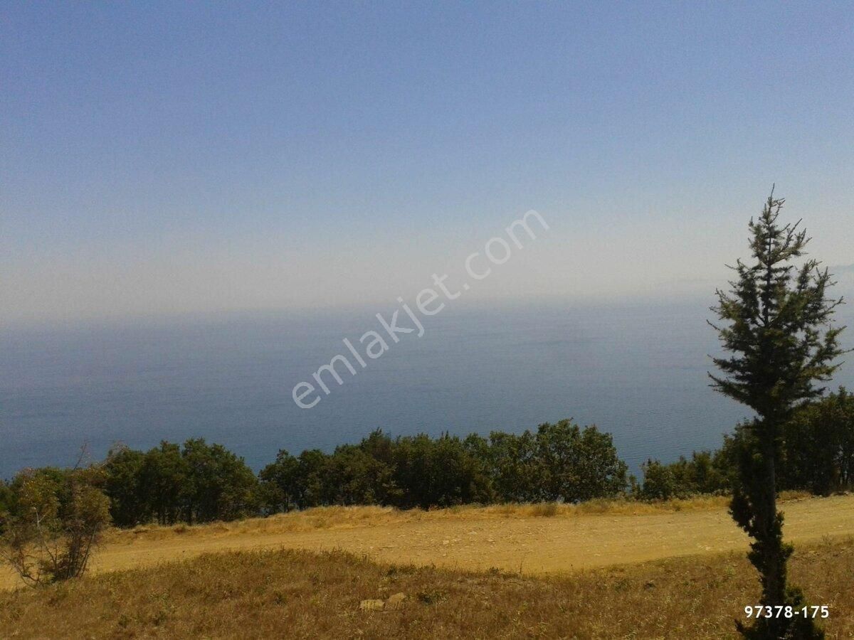 Tekirdağ Süleymanpaşa Yeniköy'de Eşsiz Manzara Arayanlara - Görsel 6