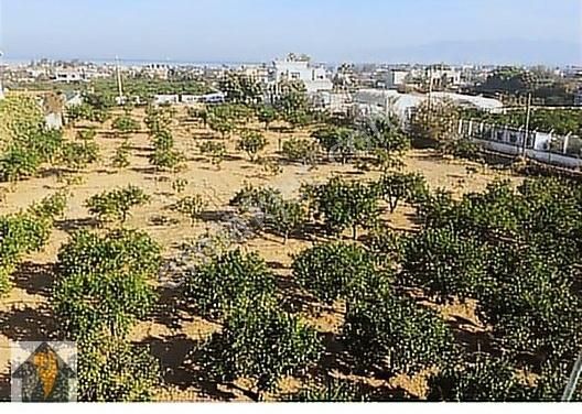 Izmir Narlidere Sahilevleri Mahallesi Satilik Arsa Ilanlari Ve Fiyatlari