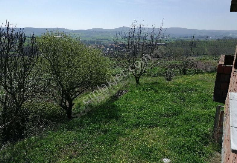 sakarya satilik ciftlik ilanlari ve fiyatlari sakarya satilik ciftlik ilanlari ve fiyatlari