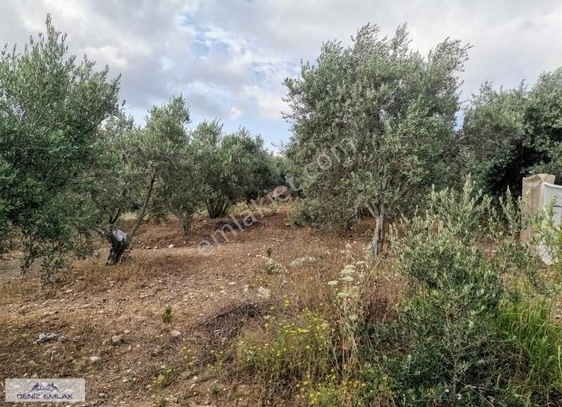 emlakcidan antalya manavgat evrenseki mahallesi satilik tarla 450 000 tl 9682040 emlakcidan antalya manavgat evrenseki mahallesi satilik tarla 450 000 tl 9682040