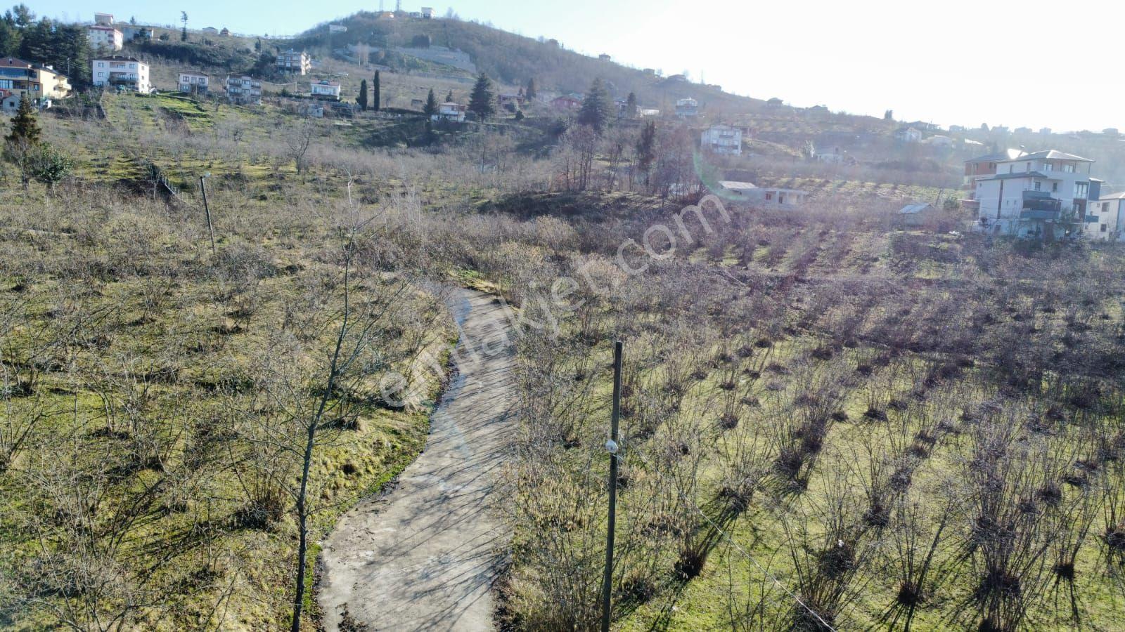 Ortahisar Karakayada Satılık Arazi Hisseleri(açıklamayı Okuyunuz) - Görsel 25