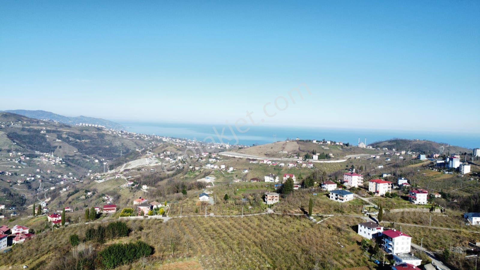 Ortahisar Karakayada Satılık Arazi Hisseleri(açıklamayı Okuyunuz) - Görsel 7