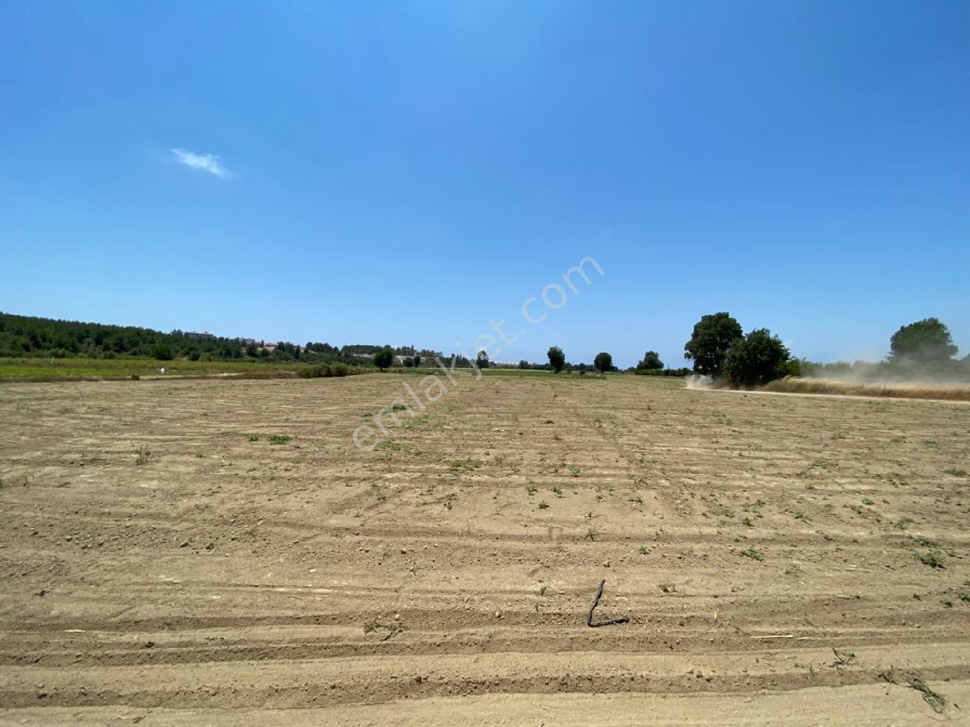 emlakcidan antalya manavgat karacalar mahallesi satilik tarla 190 000 tl 9764378 emlakcidan antalya manavgat karacalar mahallesi satilik tarla 190 000 tl 9764378