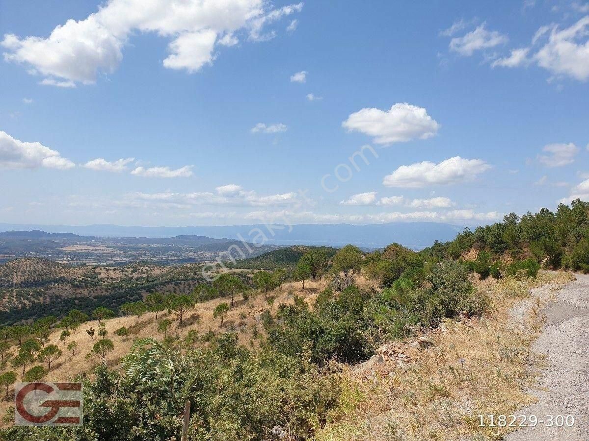 Orman Oksijen Kaynaklı Dağ Evi - Görsel 9