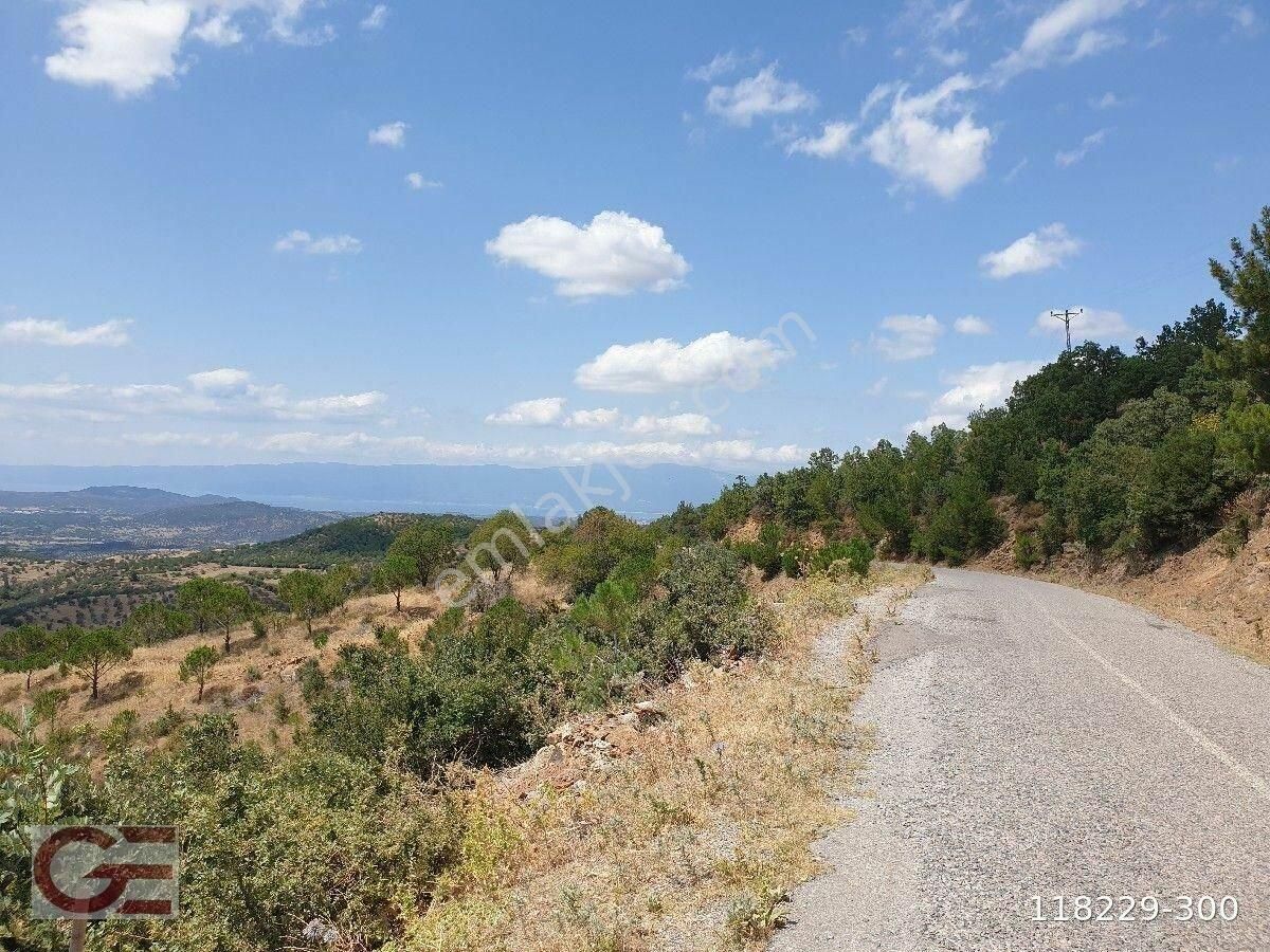 Orman Oksijen Kaynaklı Dağ Evi - Görsel 18