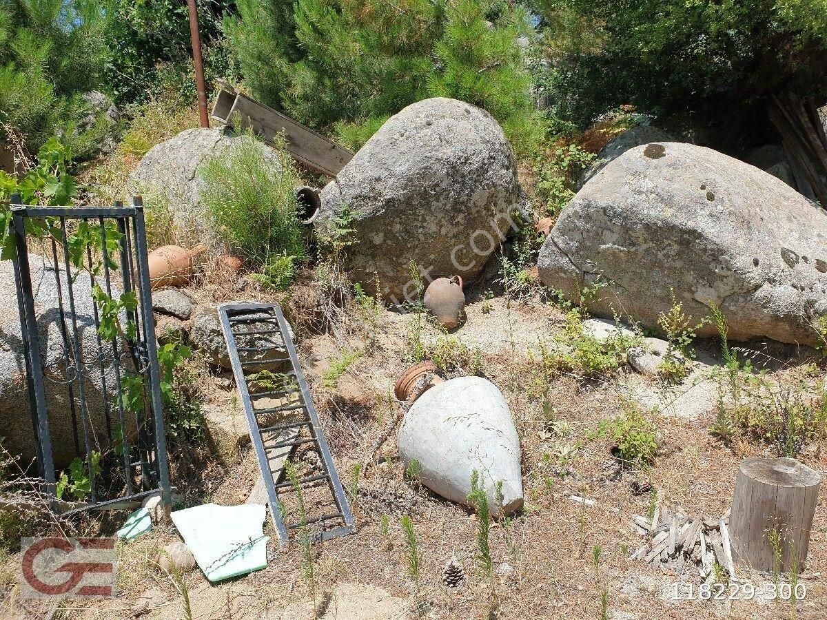 Orman Oksijen Kaynaklı Dağ Evi - Görsel 5