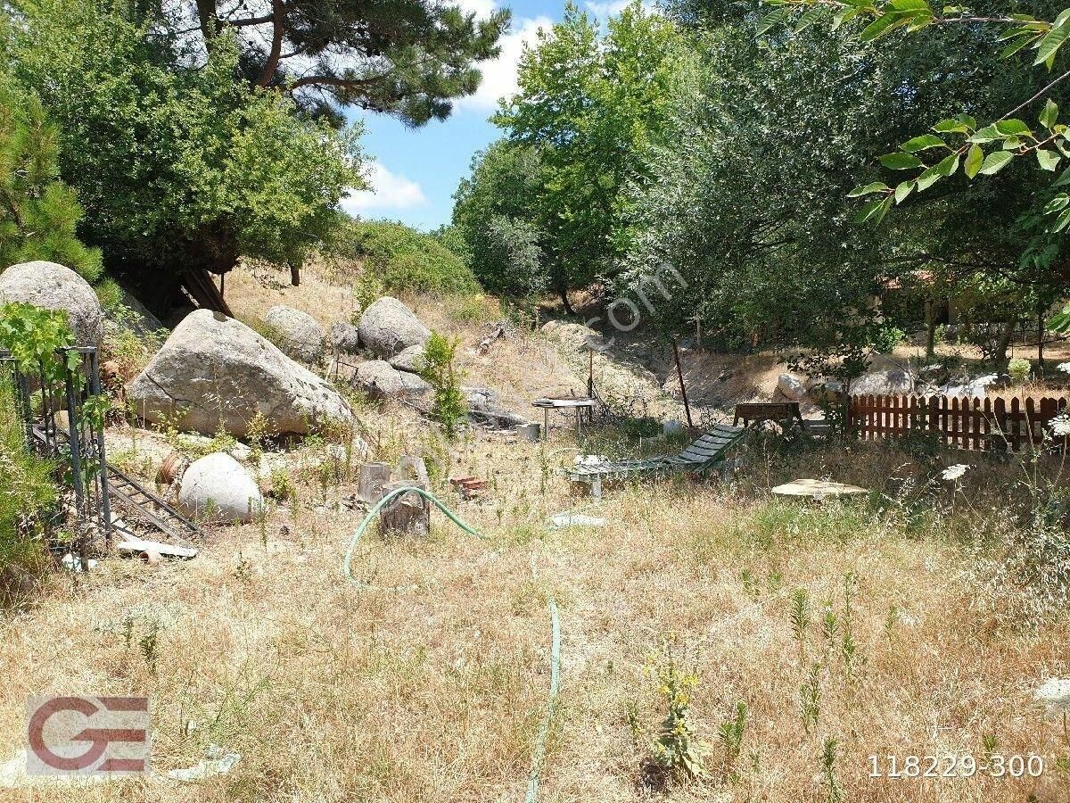 Orman Oksijen Kaynaklı Dağ Evi - Görsel 20