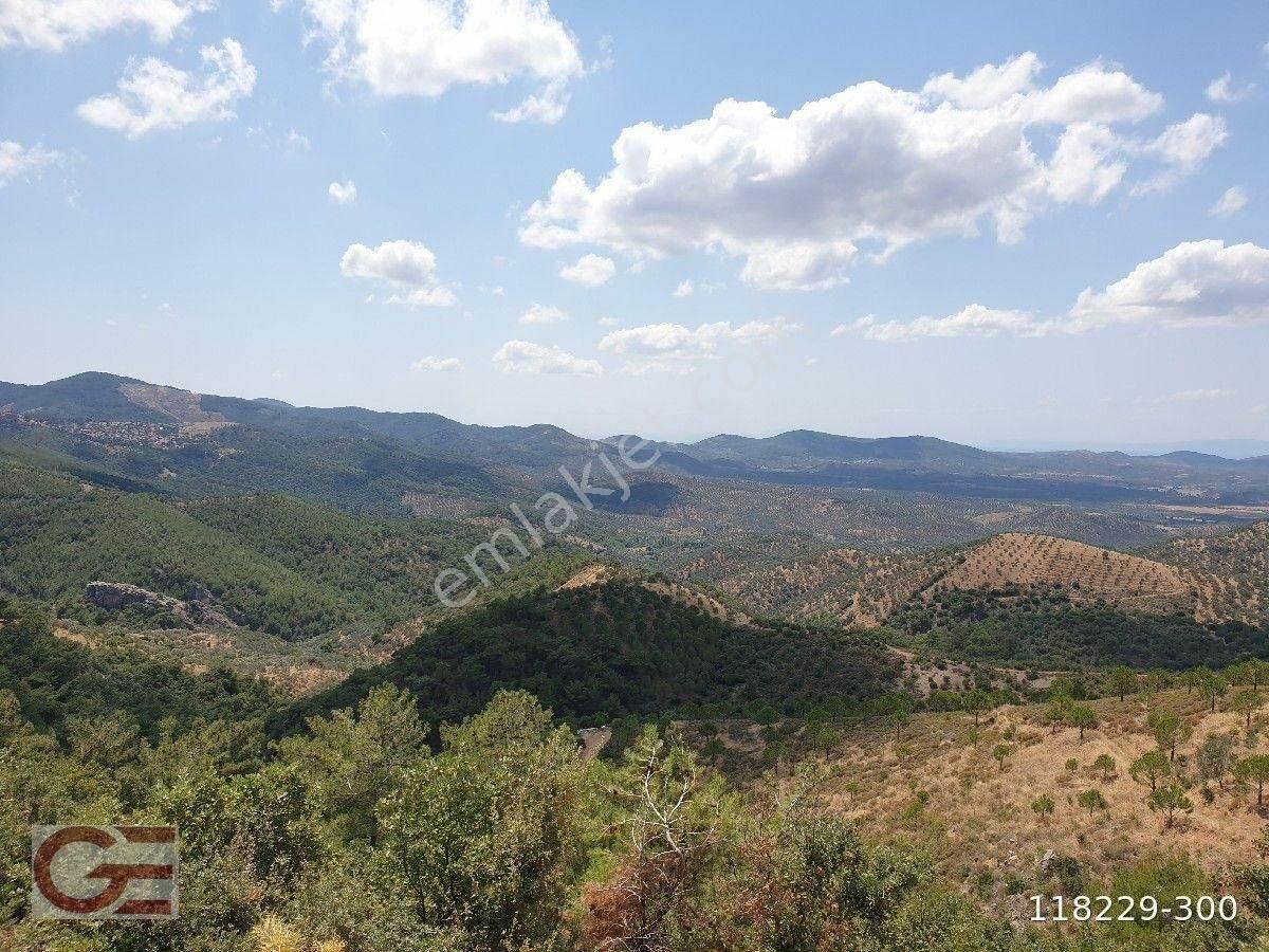 Orman Oksijen Kaynaklı Dağ Evi - Görsel 13