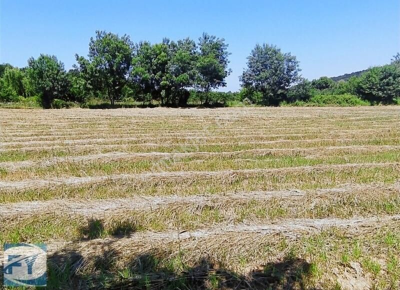 kandira bolu mahallesi satilik bag bahce emlakjet